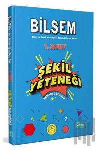 1. Sınıf Bilsem Hazırlık Şekil Yeteneği Tamamı Çözümlü