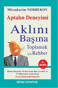 Aklını Başına Toplamak İçin  Rehber/Aptalın Deneyimi