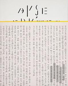 Ayşe Erkmen: Whitish