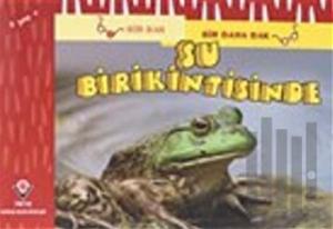 Bir Bak Bir Daha Bak - Su Birikintisinde