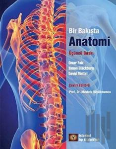 Bir Bakışta  Anotomi