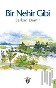 Bir Nehir Gibi