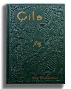 Çile - Yeşil Kapak (Ciltli)