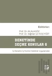 Denetimde Seçme Konular 6