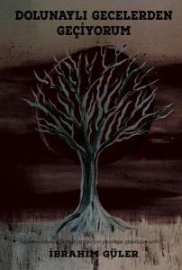 Dolunaylı Gecelerden Geçiyorum