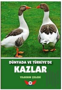 Dünyada ve Türkiye'de Kazlar