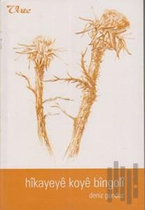 Hikayeye Koye Bingoli