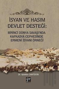 İsyan ve Hasım Devlet Desteği: Birinci Dünya Savaşı'nda Kafkasya Cephesinde Ermeni İsyanı Örneği
