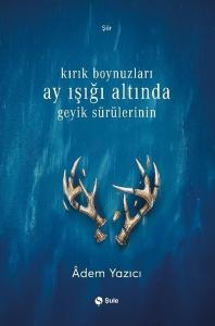 Kırık Boynuzları Ay Işığı Altında Geyik Sürülerinin