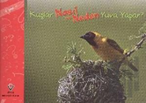 Kuşlar Nasıl ve Neden Yuva Yapar?