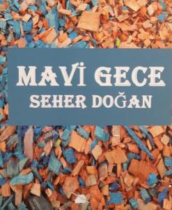 Mavi Gece