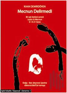Mecnun Delirmedi