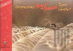 Örümcekler Nasıl ve Neden İpek Üretir?