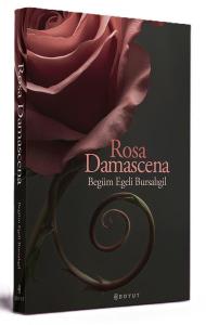 Rosa Damascena