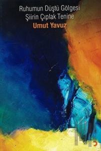 Ruhumun Düştü Gölgesi Şiirin Çıplak Tenine