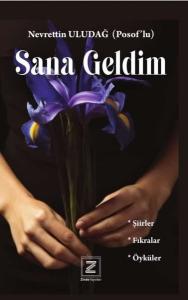 Sana Geldim