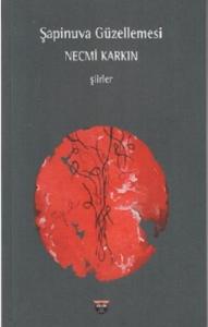 Şapinuva Güzellemesi