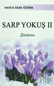 Sarp Yokuş 2