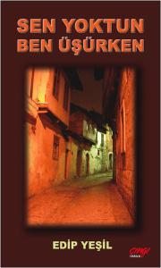 Sen Yoktun Ben Üşürken