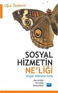 Sosyal Hizmetin Ne'liği-Sosyal Hizmete Giriş