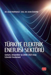 Türkiye Elektrik Enerjisi Sektörü - Gelişim Dinamikler ve 2000 - 2021 Arası Literatür İncelemesi