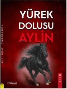 Yürek Dolusu Aylin Şiirleri