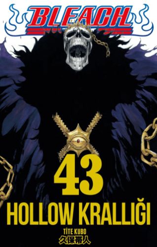 Bleach 43. Cilt | Kitap Ambarı