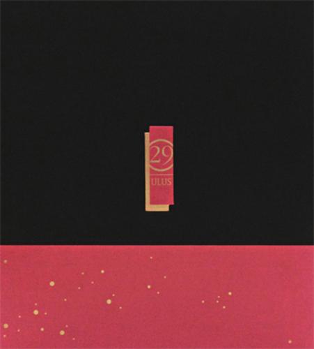 29 Ulus - Türkçe (Ciltli)