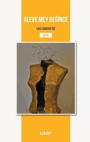 Aleve Mey Değince | Kitap Ambarı