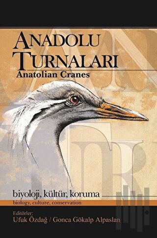 Anadolu Turnaları