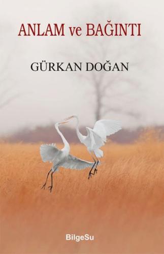 Anlam ve Bağıntı | Kitap Ambarı