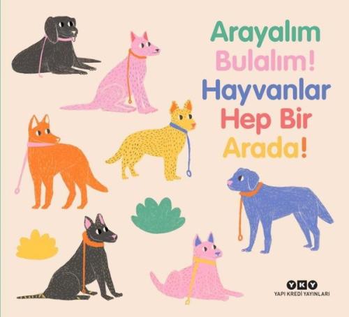 Arayalım Bulalım! Hayvanlar Hep Bir Arada! (Ciltli)
