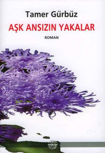 Aşk Ansızın Yakalar | Kitap Ambarı
