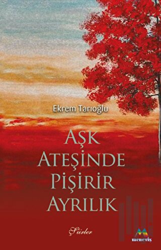 Aşk Ateşinde Pişirir Ayrılık