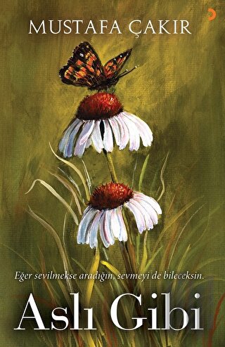 Aslı Gibi | Kitap Ambarı