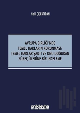 Avrupa Birliği'nde Temel Hakların Korunması: Temel Haklar Şartı ve Onu Doğuran Süreç Üzerine Bir İnceleme