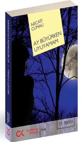 Ay Büyürken Uyuyamam