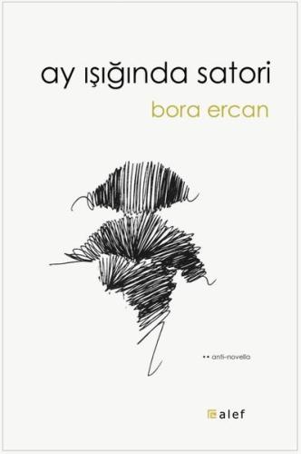 Ay Işığında Satori | Kitap Ambarı