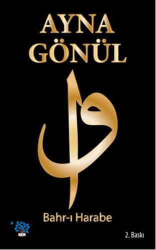 Ayna Gönül | Kitap Ambarı