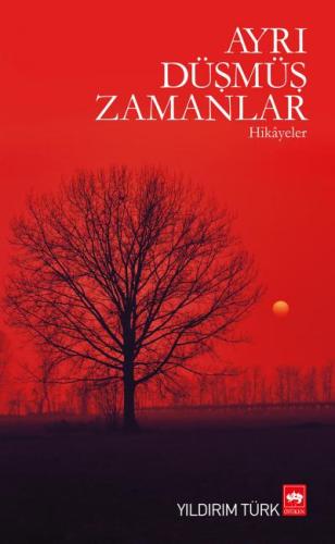 Ayrı Düşmüş Zamanlar | Kitap Ambarı