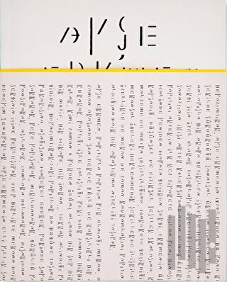 Ayşe Erkmen: Beyazımtırak