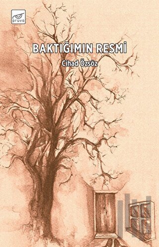 Baktığımın Resmi