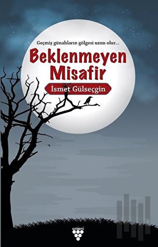 Beklenmeyen Misafir | Kitap Ambarı