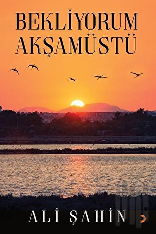 Bekliyorum Akşamüstü | Kitap Ambarı