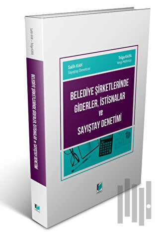 Belediye Şirketlerinde Giderler, İstisnalar ve Sayıştay Denetimi