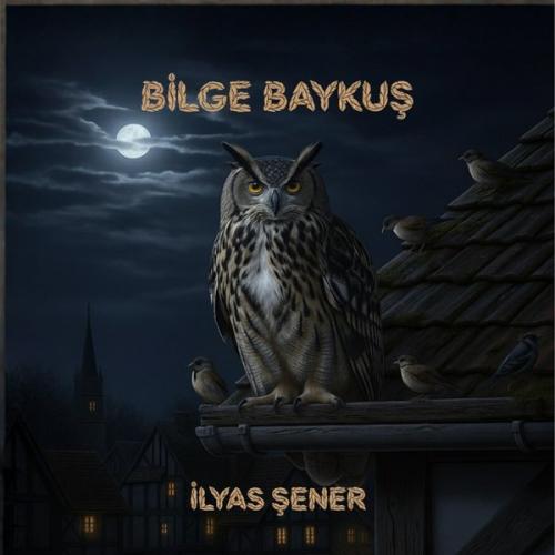 Bilge Baykuş | Kitap Ambarı