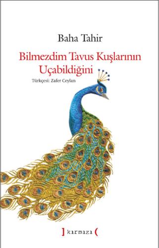 Bilmezdim Tavus Kuşlarının Uçabildiğini