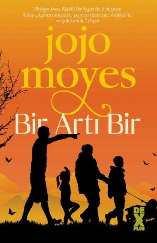 Bir Artı Bir | Kitap Ambarı