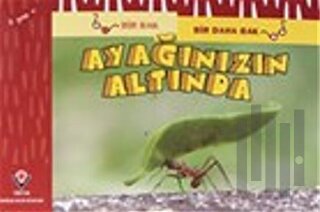 Bir Bak Bir Daha Bak - Ayağınızın Altında