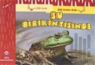 Bir Bak Bir Daha Bak - Su Birikintisinde